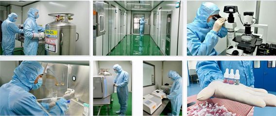 【廈門美博會展商推薦】亞睿生物科技,締造美與健康的必需品!