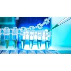 pge2 elisa試劑盒 elisa試劑盒 默沙克生物科技