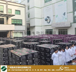 上?；瘖y品oem 集尚生物化妝品oem 化妝品oem代加工